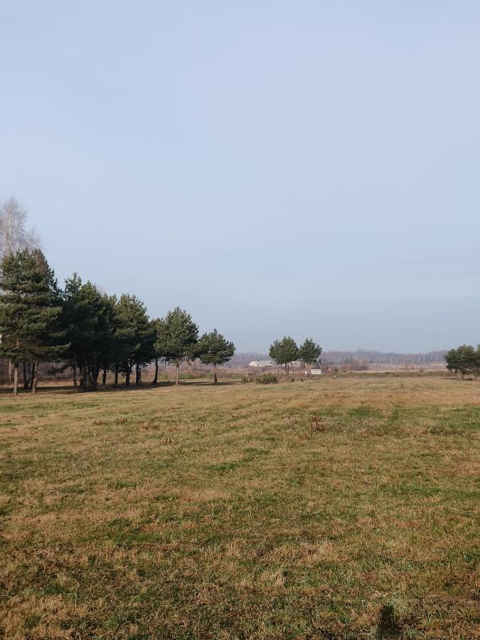 Villa Zagajnik Country Camp Obok Suntago à Grabce-Towarzystwo Extérieur photo
